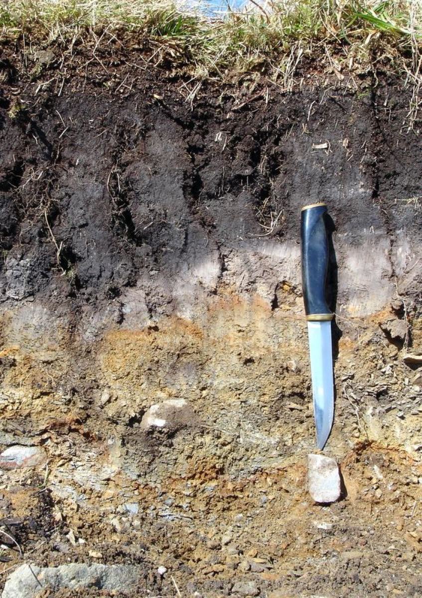 A dug soil profile showing dark topsoil over pale, layered subsoil horizons, with a knife for scale